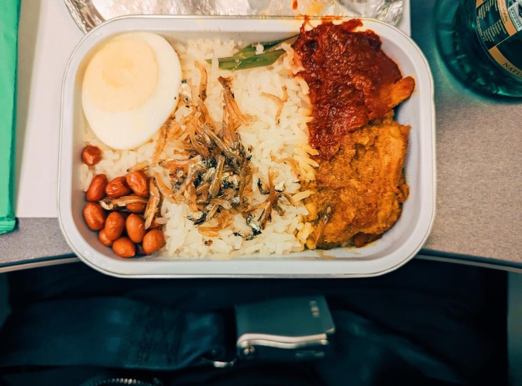 An airplane meal tray with rice, chicken, egg, and peanuts